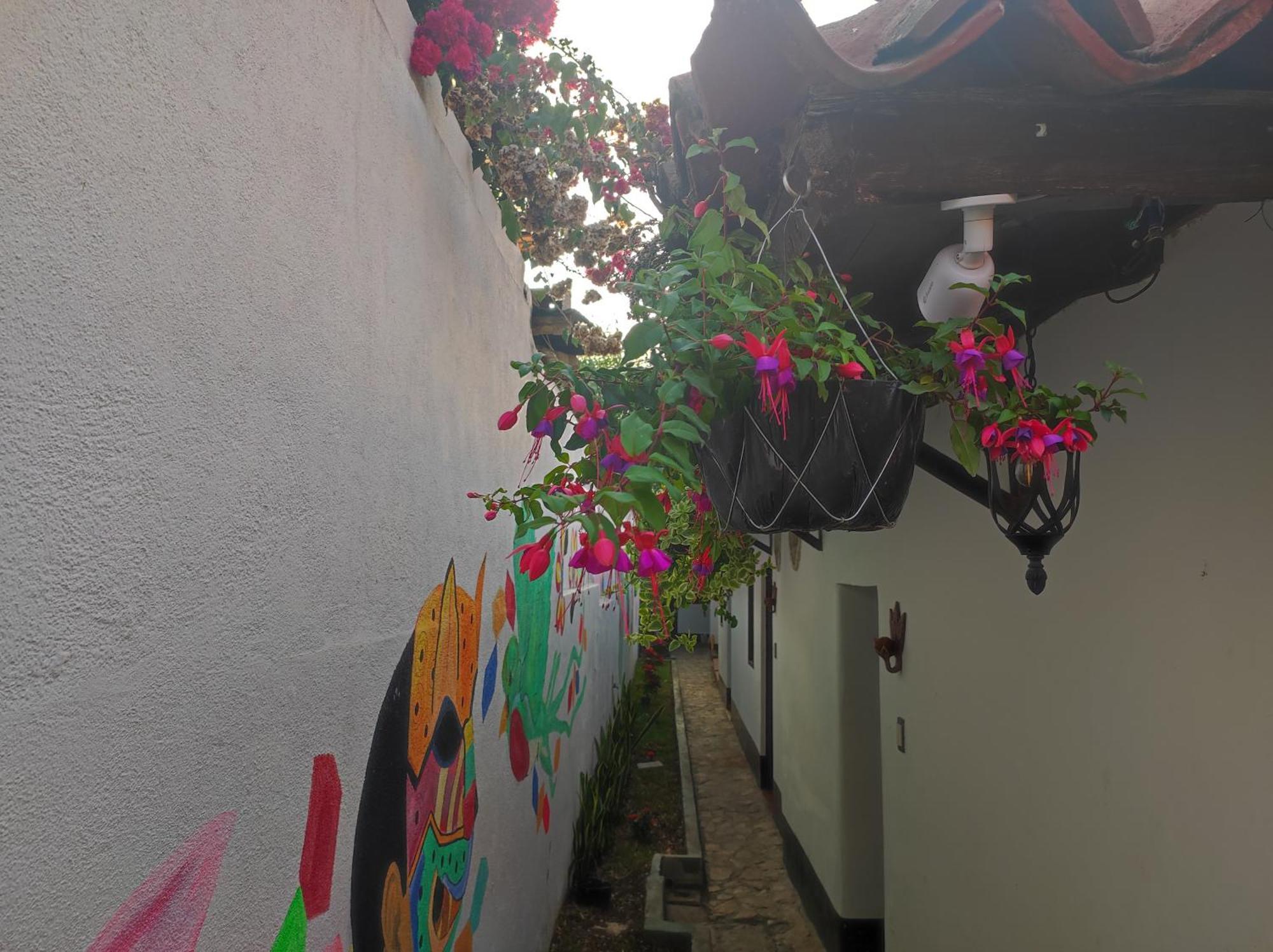 Casa Nikte Hotel Antigua Eksteriør billede